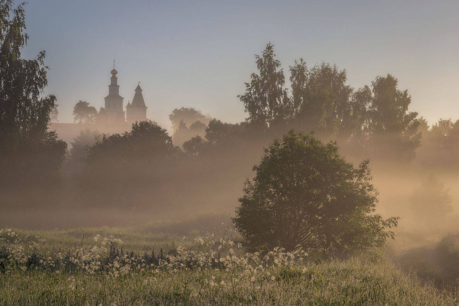 Московская область, Гусева Елена