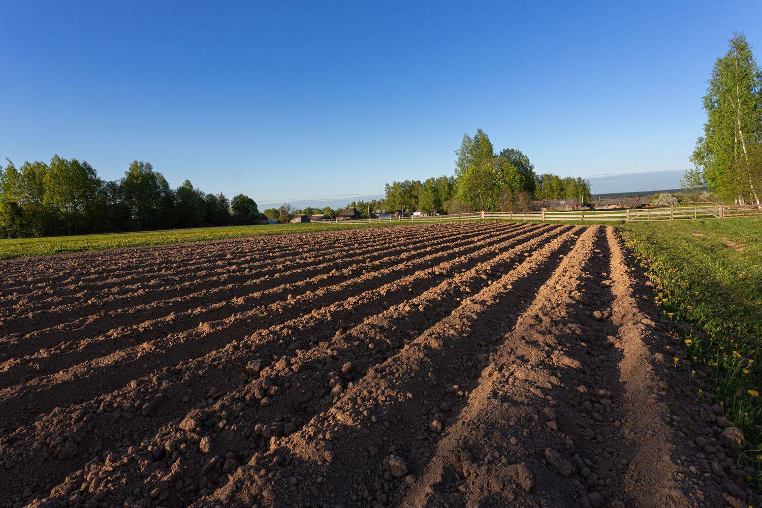 , Зеленько Дмитрий