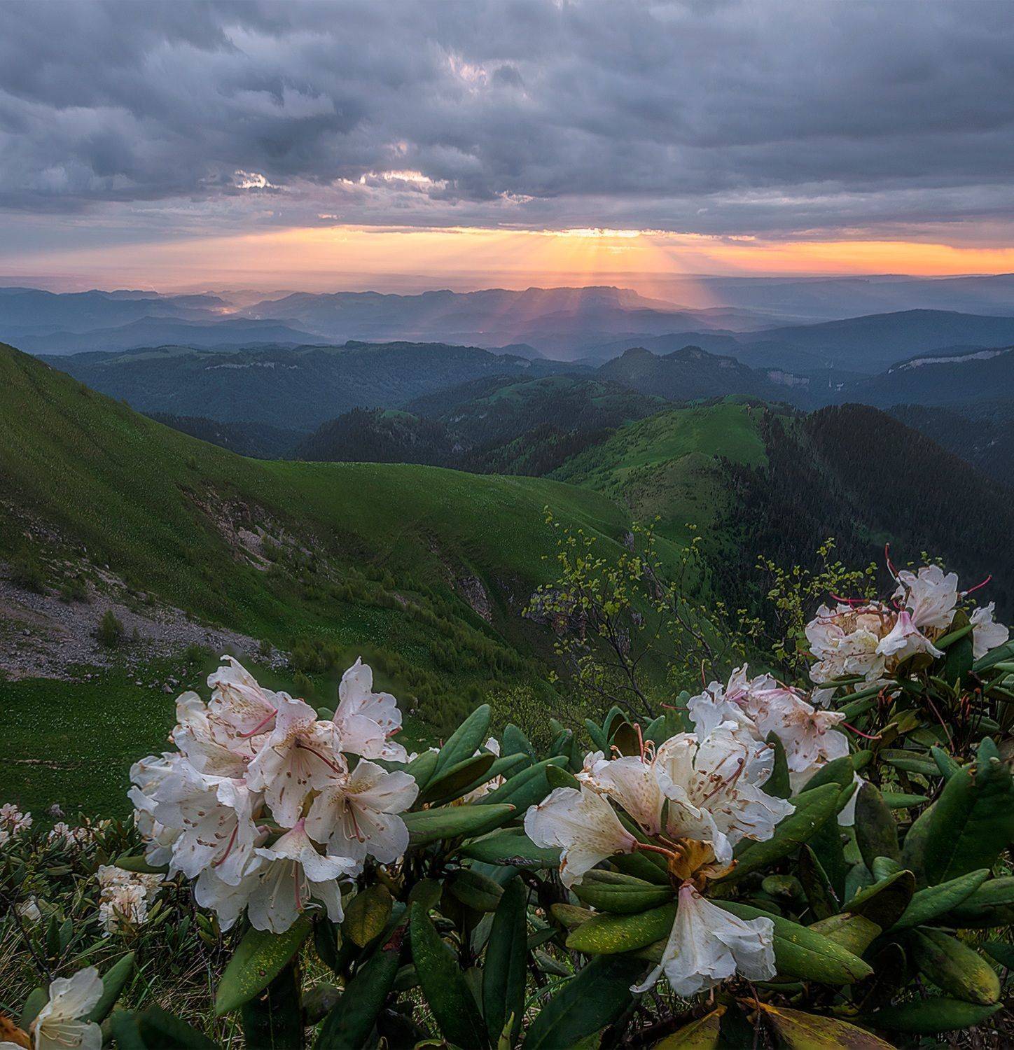 западный кавказ, асбестная, ачешбок, рассвет, лето, Мысливцев Николай