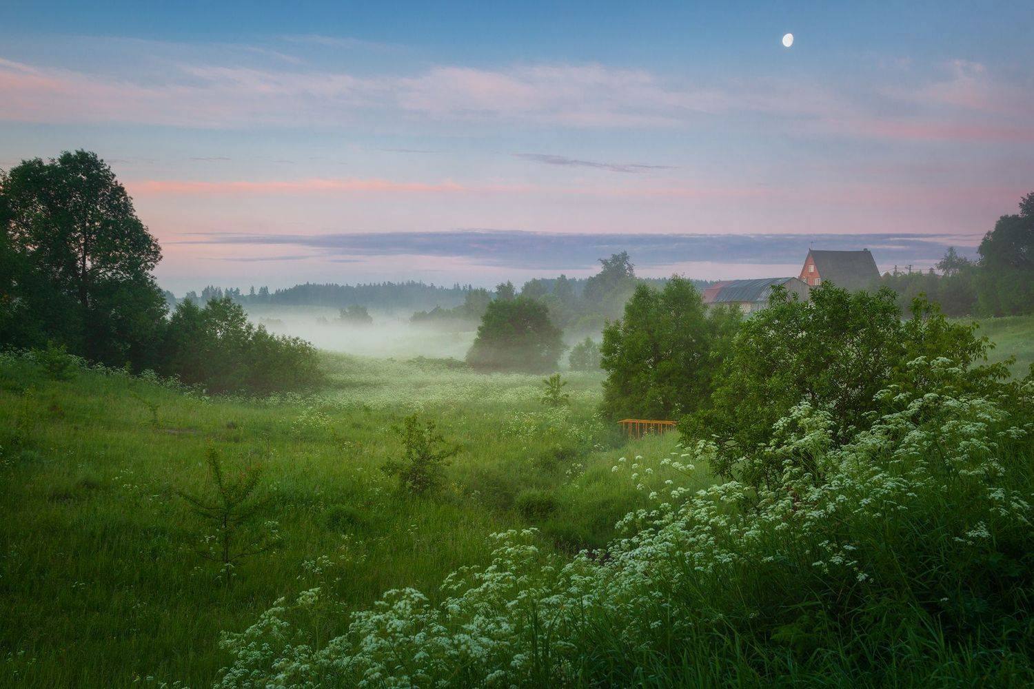 деревня, валищево, туман, подмосковье, Александр Стрельчук