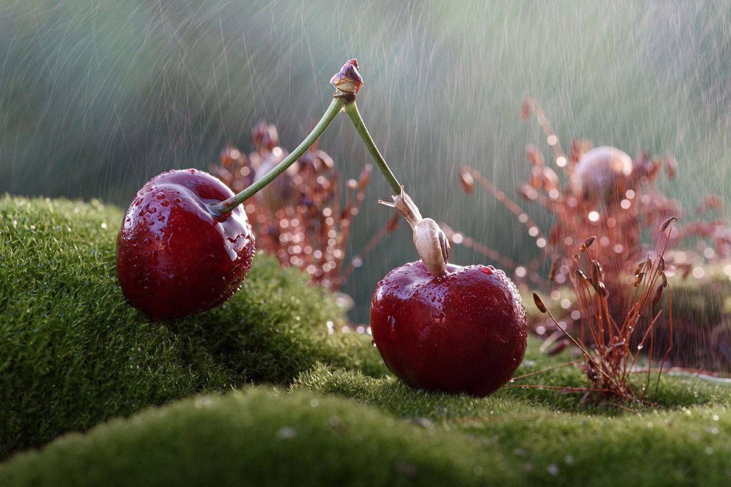 , Таня  Маркова