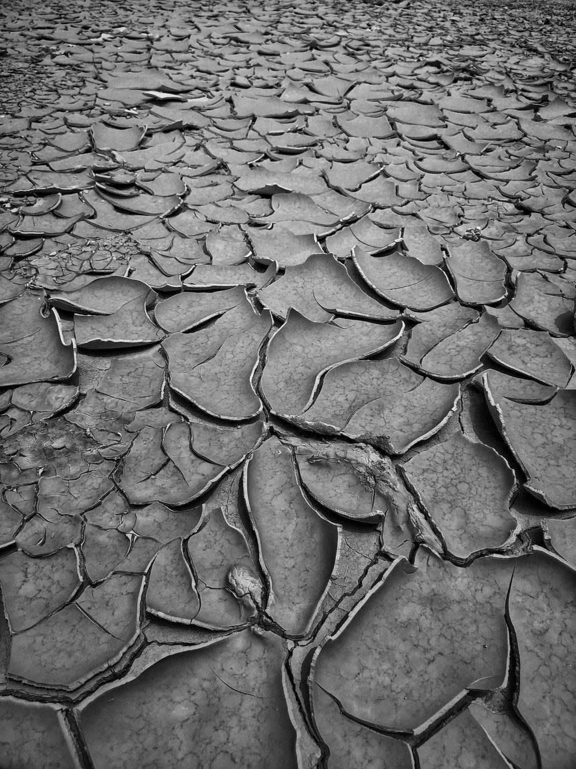 black and white, landascape, land, cracked, nature, dry land natural phenomenon, Benaissa Ilyes