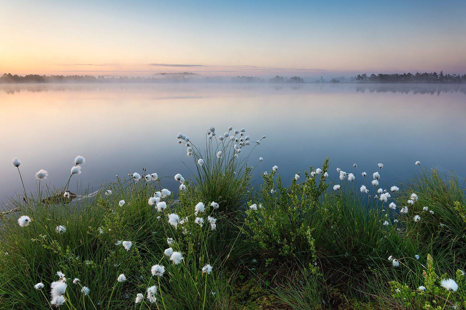 , Александр Абросимов