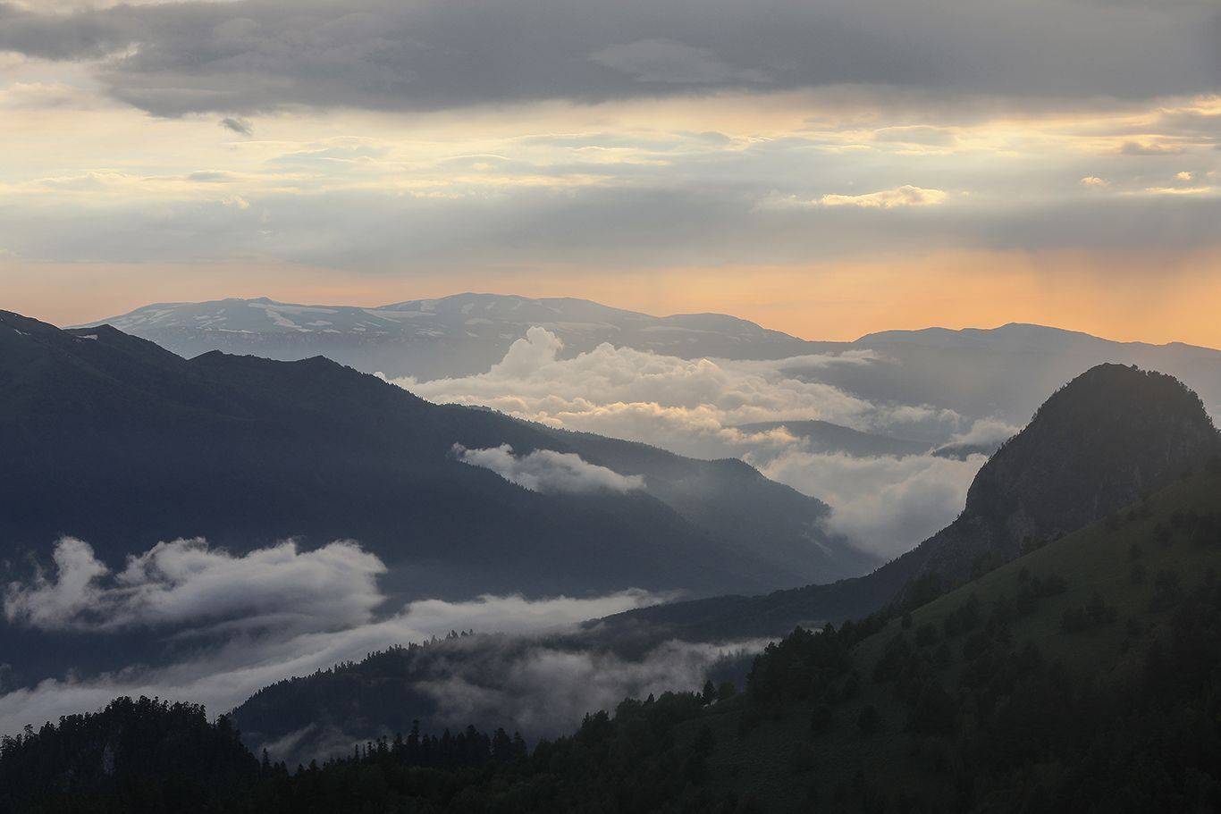 , Андрей Ершов