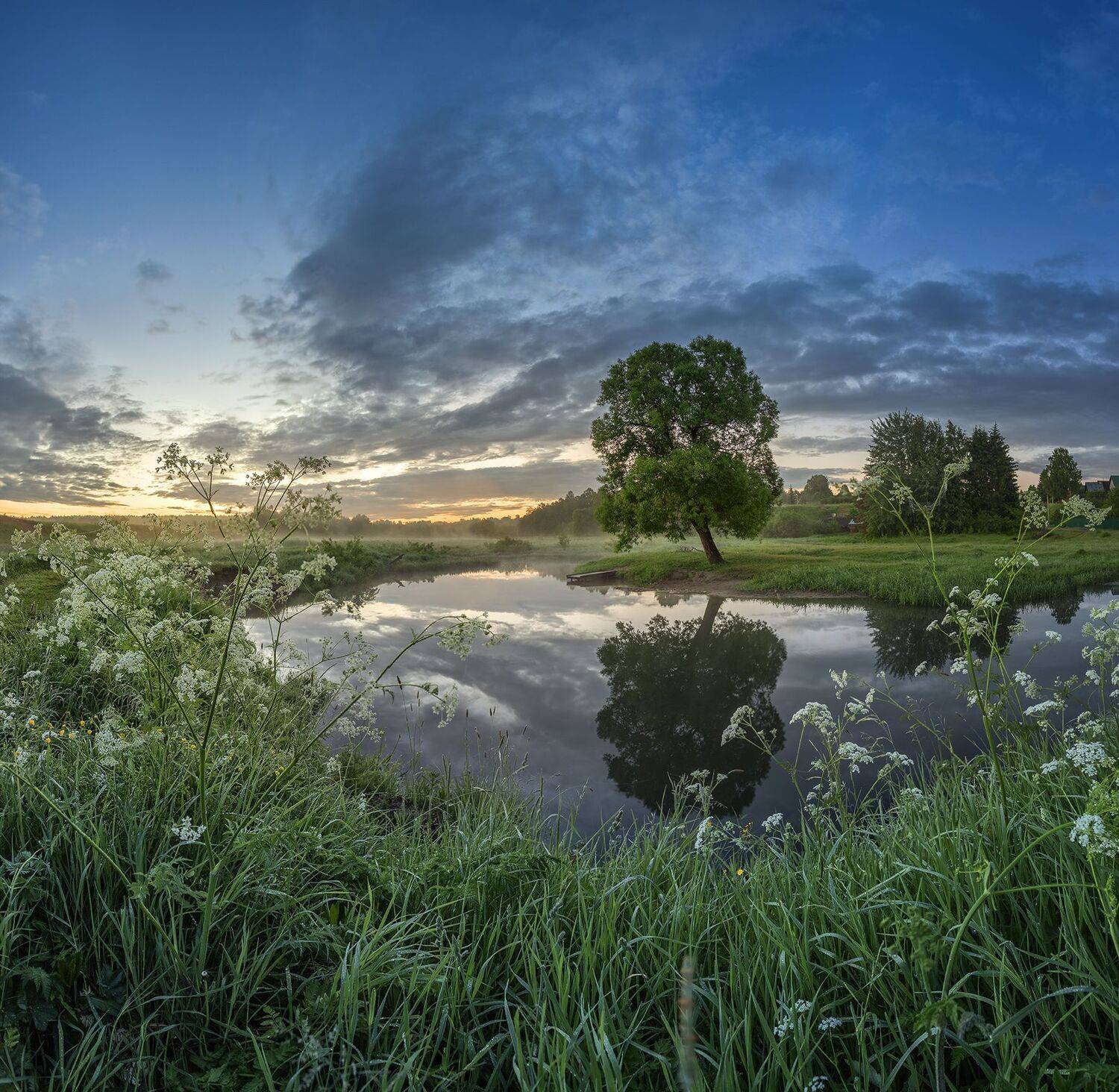 , Николай Андреев