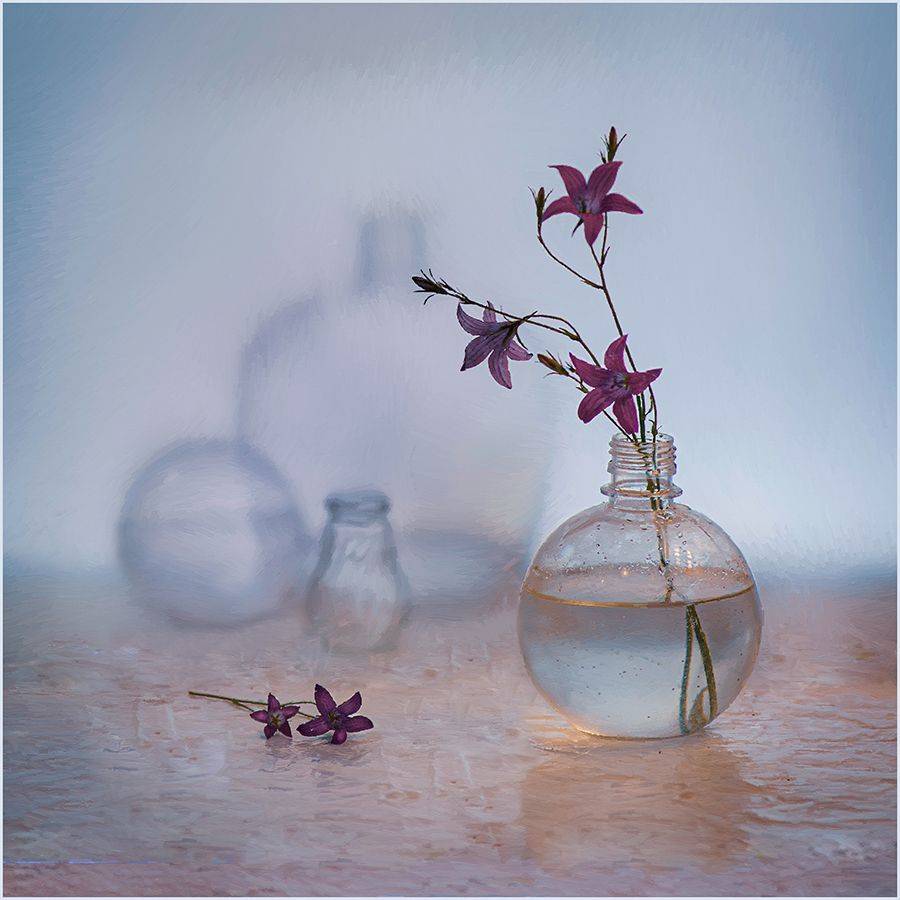 , Александр  Швачко