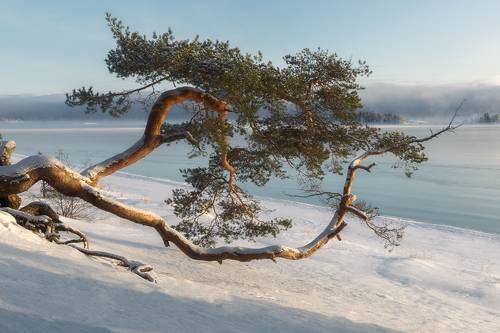 Остров Койонсаари