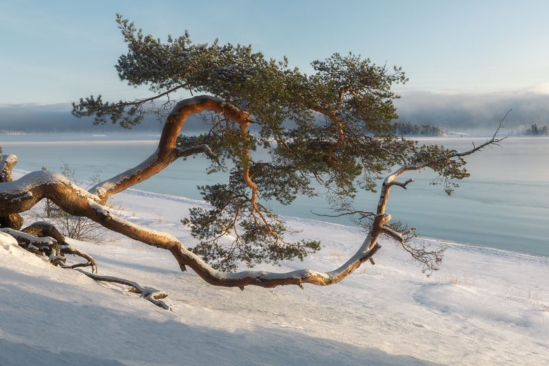 Ладога Остров Койонсаари фото превью