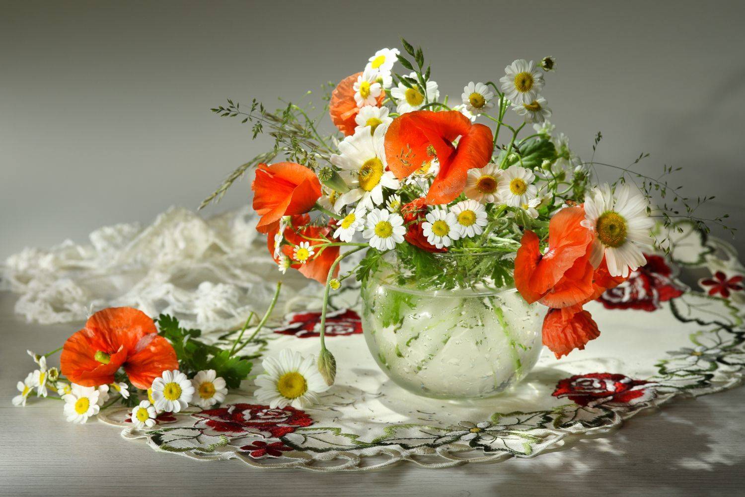 натюрморт, букет, цветы, ромашки, маки, Шруб (Беляева) Татьяна