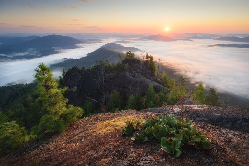 алтай, горный алтай, пейзажи алтая, турочакский район, салоп, туманное утро, летний рассвет, горы, восход солнца Турочакский восход фото превью