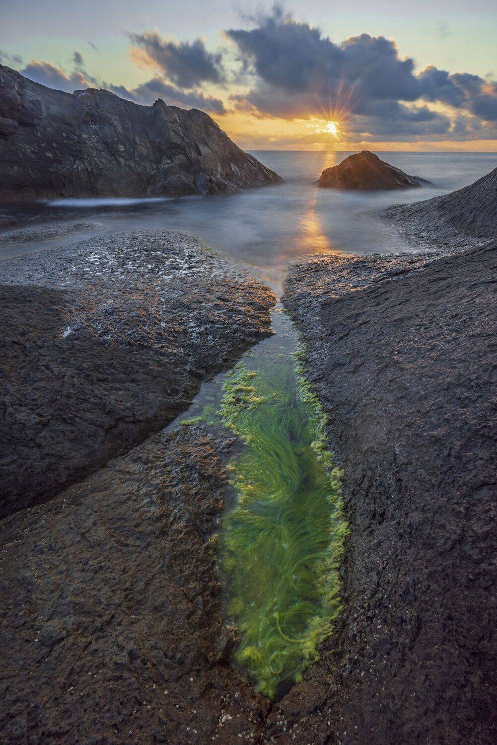 sunrise nature landscapes , viktor demidov