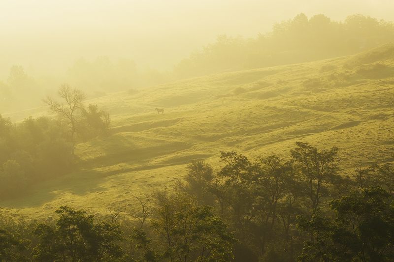 2013 фото превью