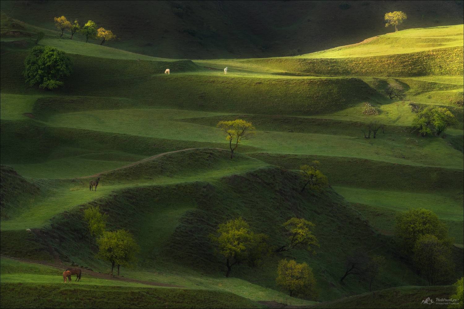 дагестан, чох, террасы, фототур в дагестан, кавказ, чохские террасы,гуниб, гунибский район, пейзажи дагестана, Влад Соколовский