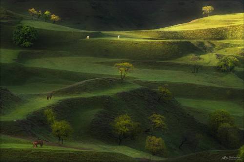 Дагестанская пастораль