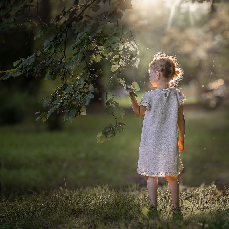 Walk in the sunshine фото превью