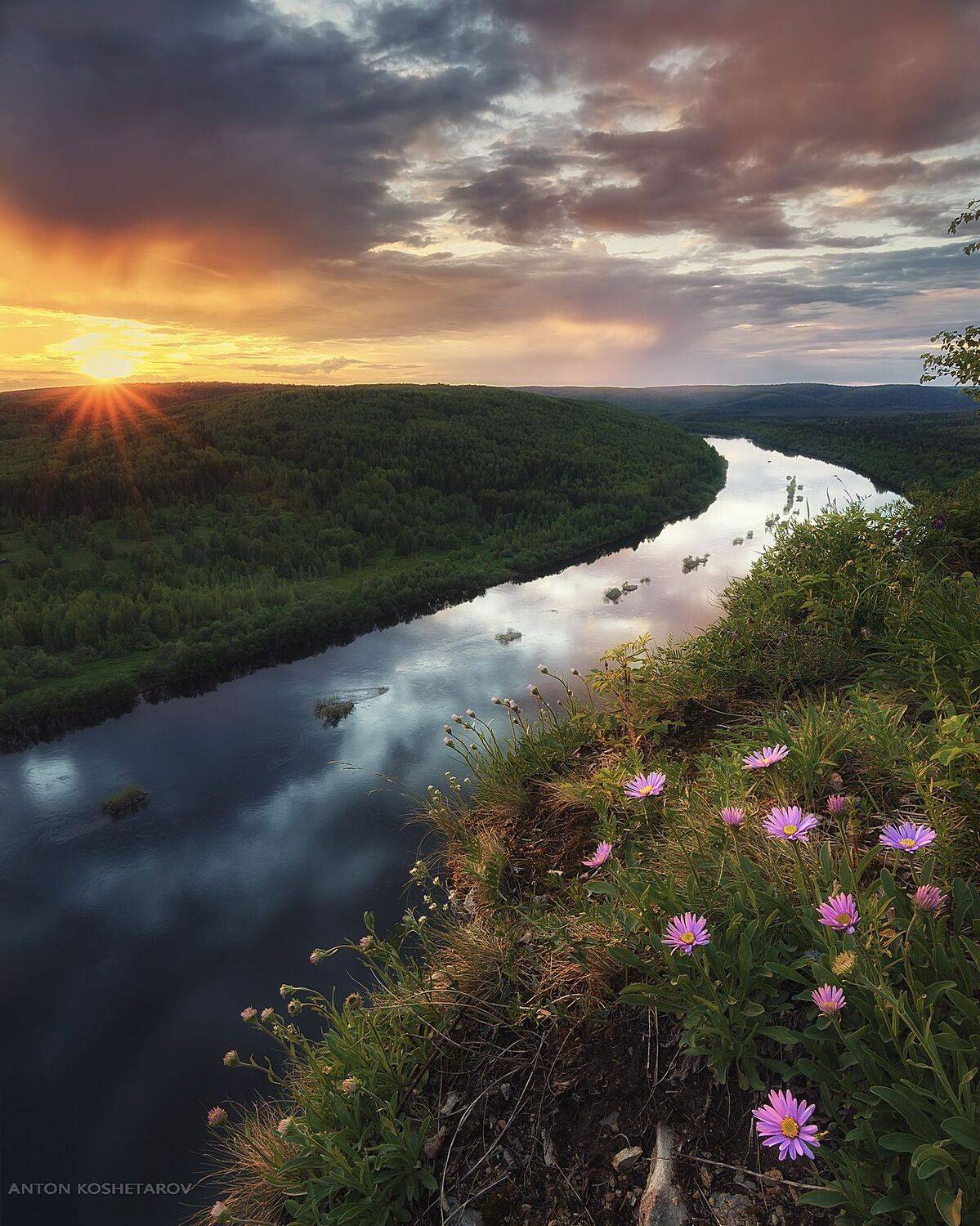 , Антон Кошетаров