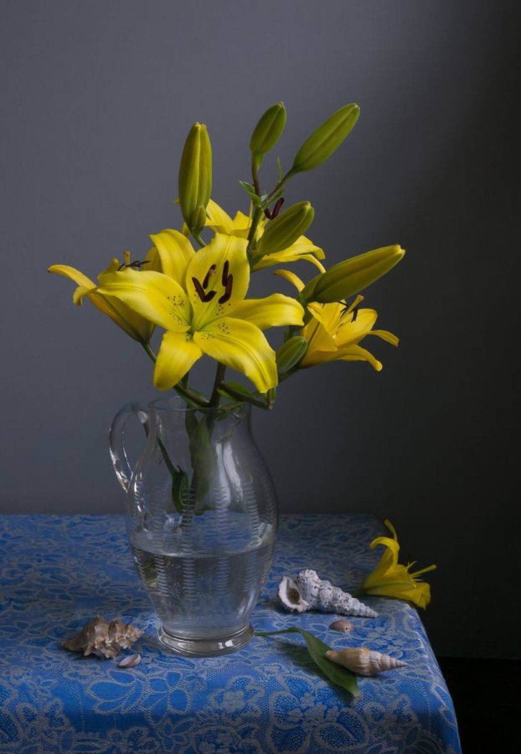 , Колеснева Елена