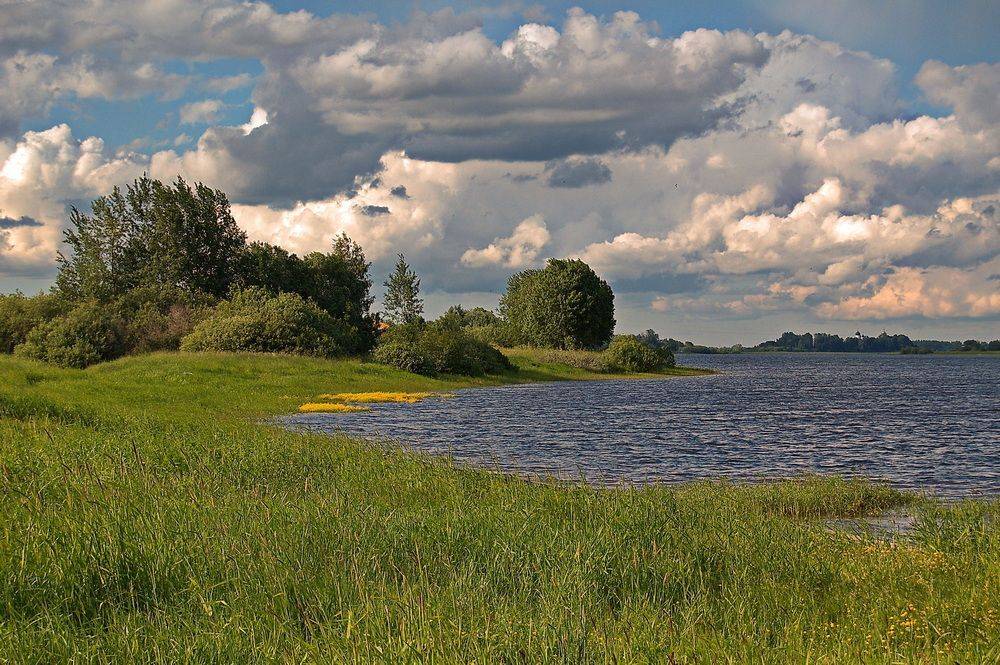 , Николаев Владимир