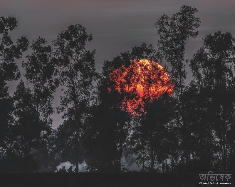 friendship фото превью