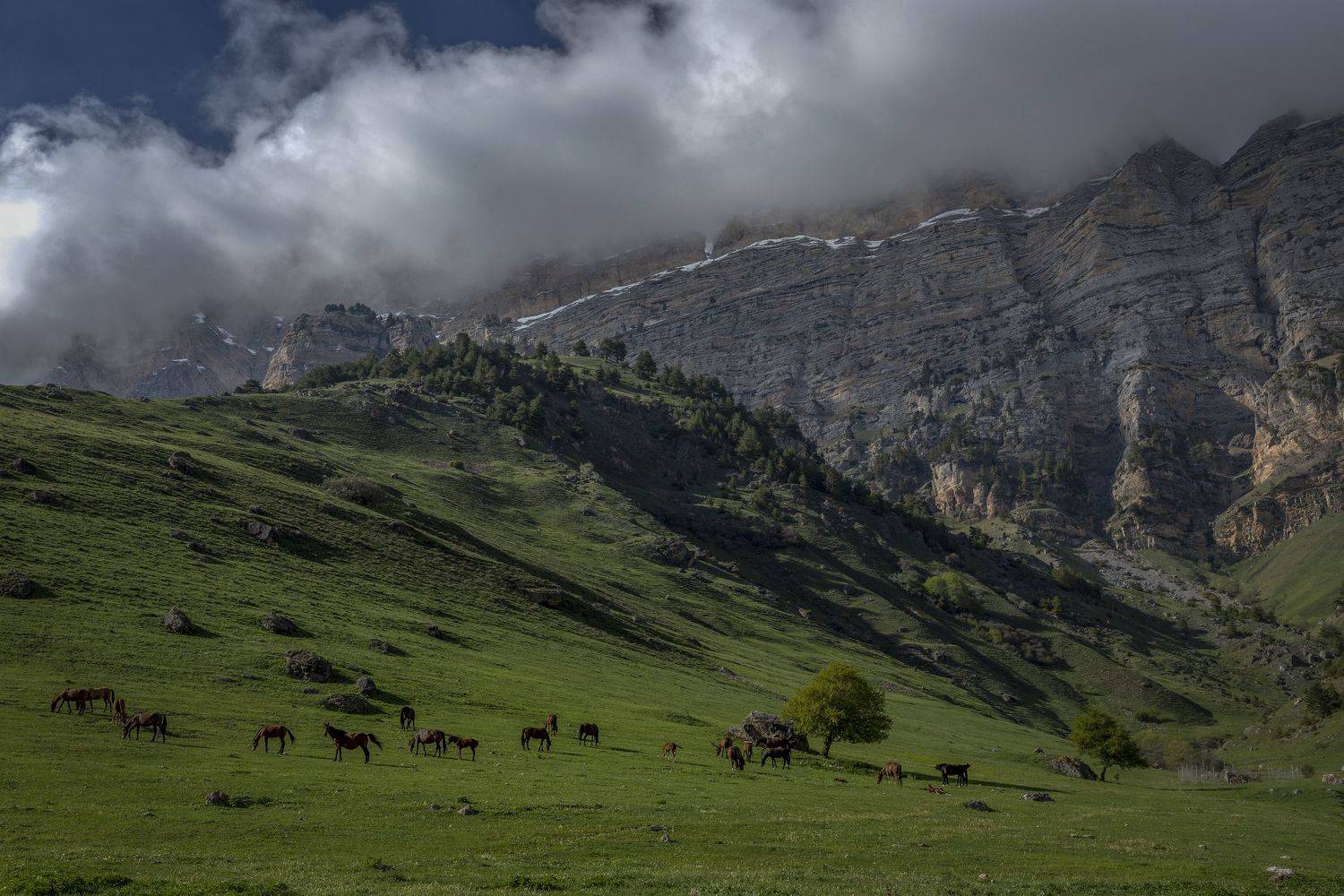 ингушетия, Гусева Елена
