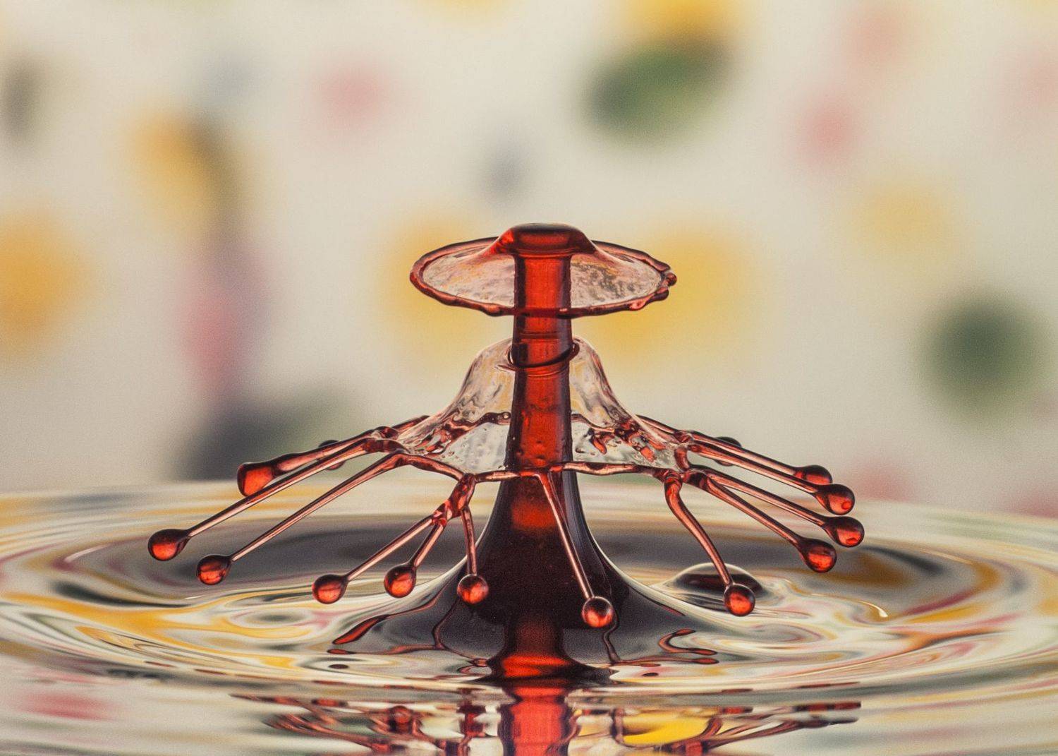 abstract,liquid,art,waterdrop,light,color,drop,macro,, mustafa yagci