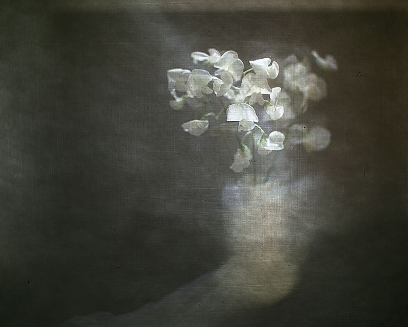 Сияние нежности фото превью