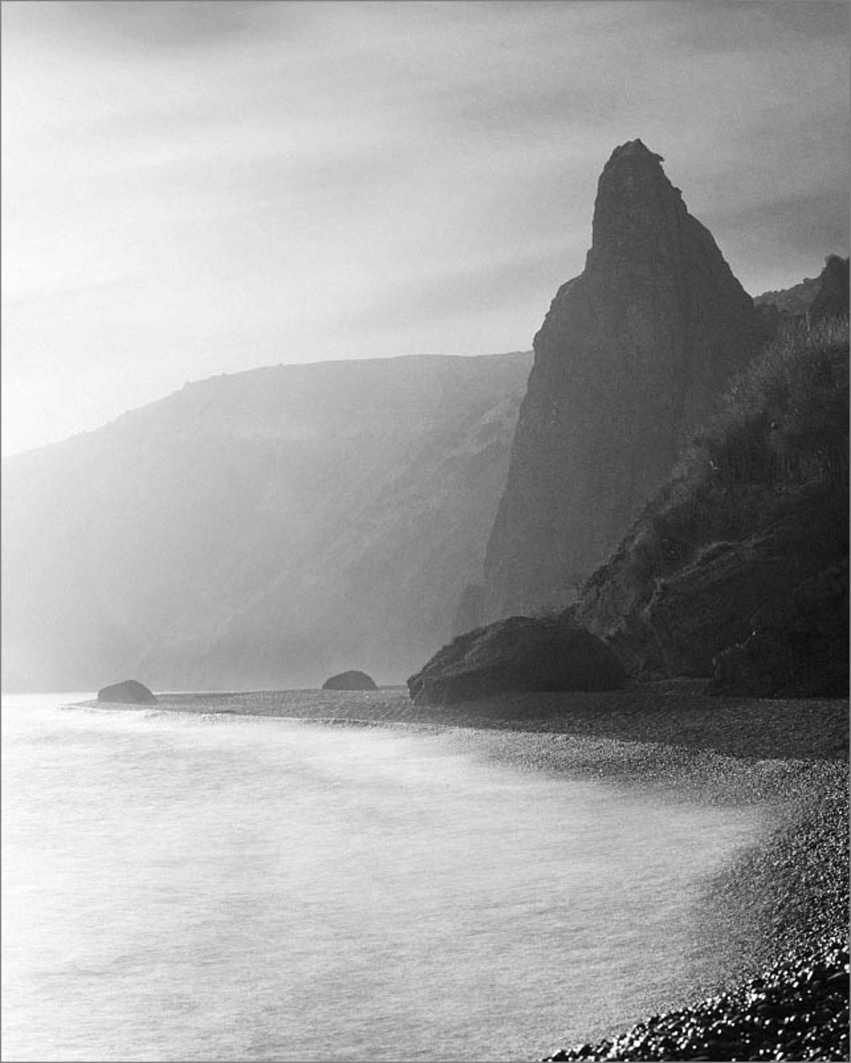 , Алексей Пучков