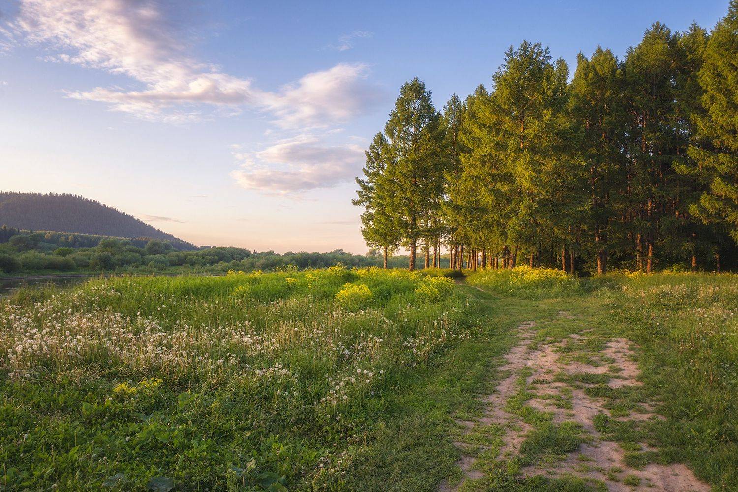 пермский край, пейзаж, закат, красота природы, поле, солнце, лето, облака, природа, дикая природа, кишерть, лес, Кирилл Кузнецов