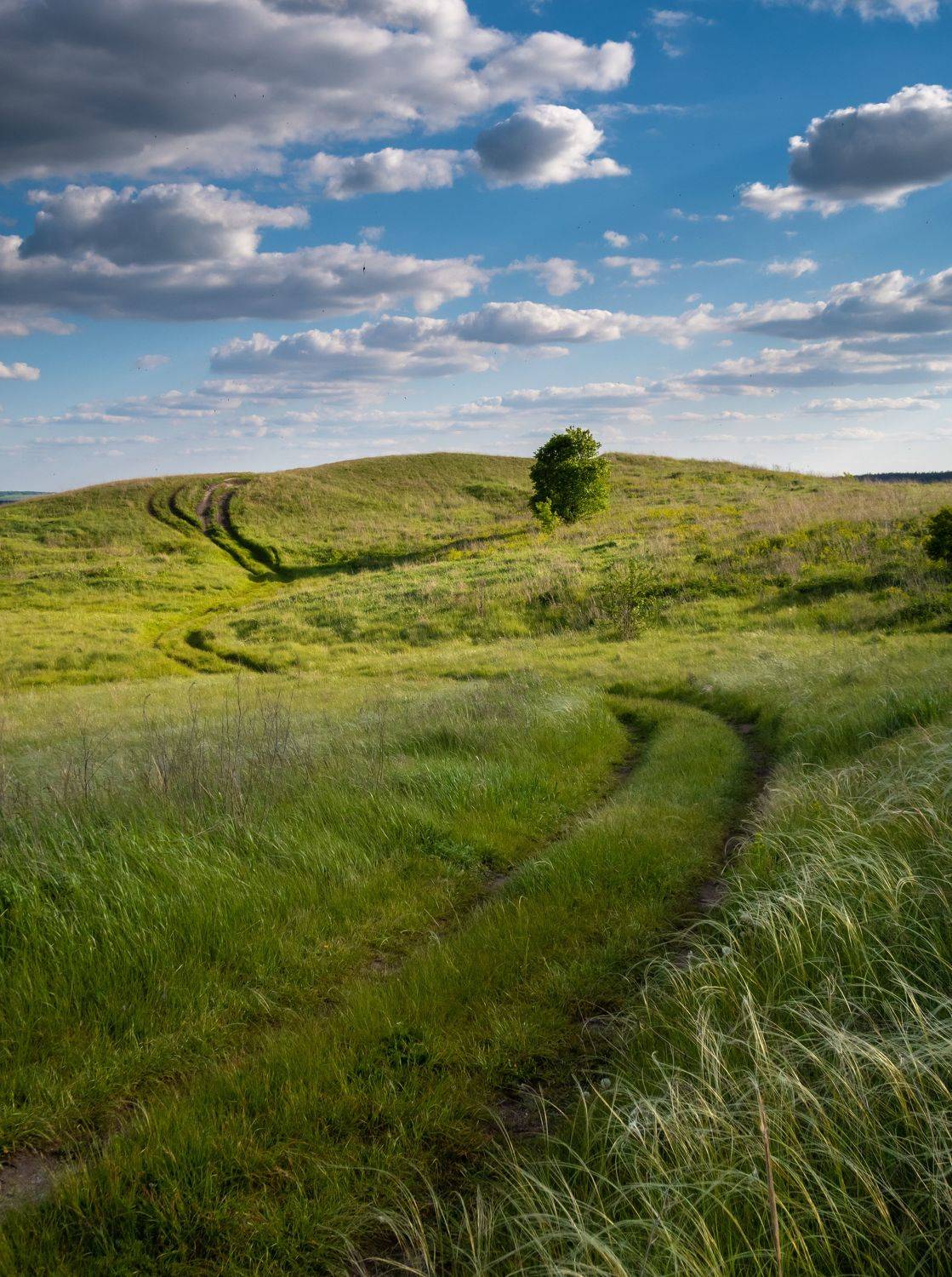 , Борисенко Денис