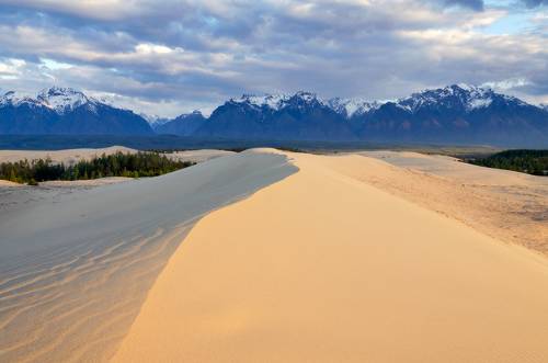 утренний свет