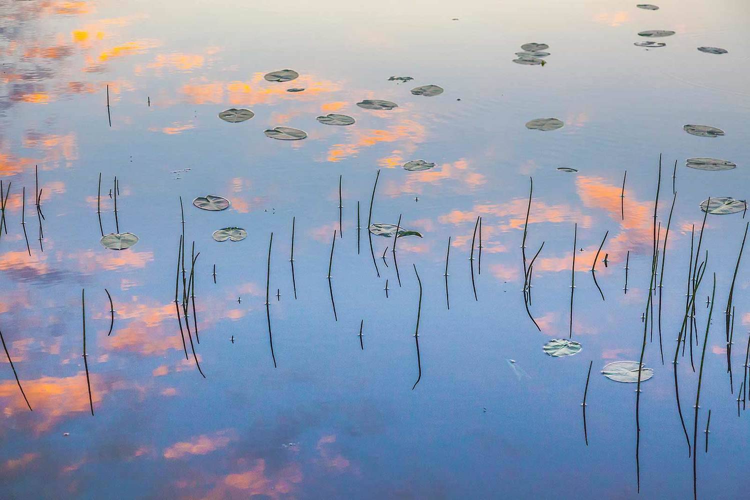 , Напалкин Станислав