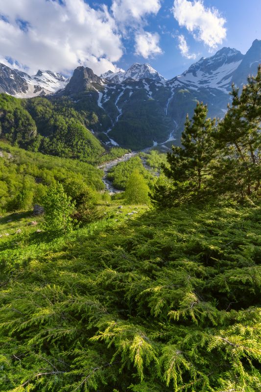 У склонов Таймази фото превью