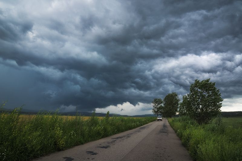 2017 фото превью