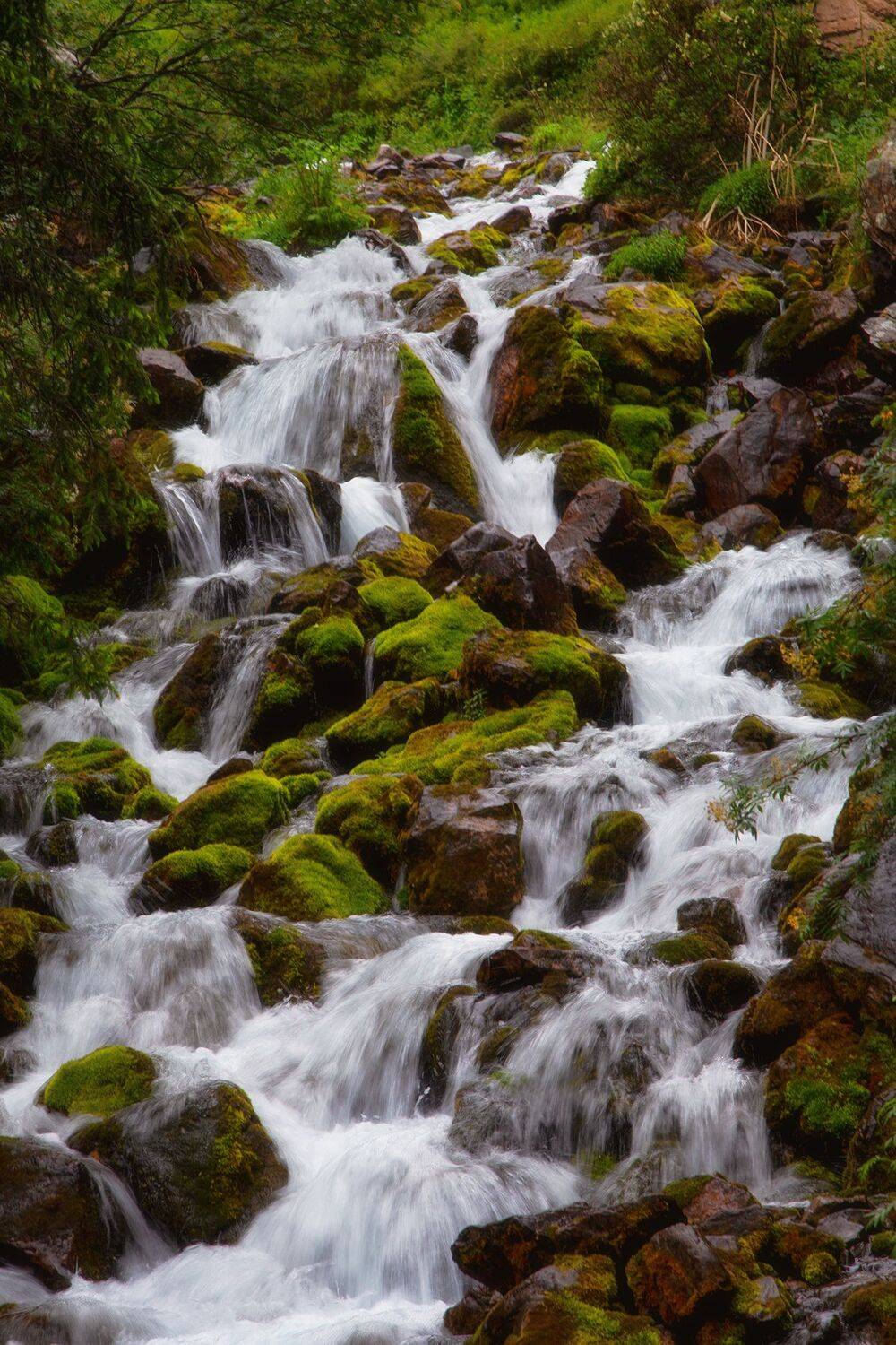 кыргызстан,горы, кель-тор, Элина Магалимова