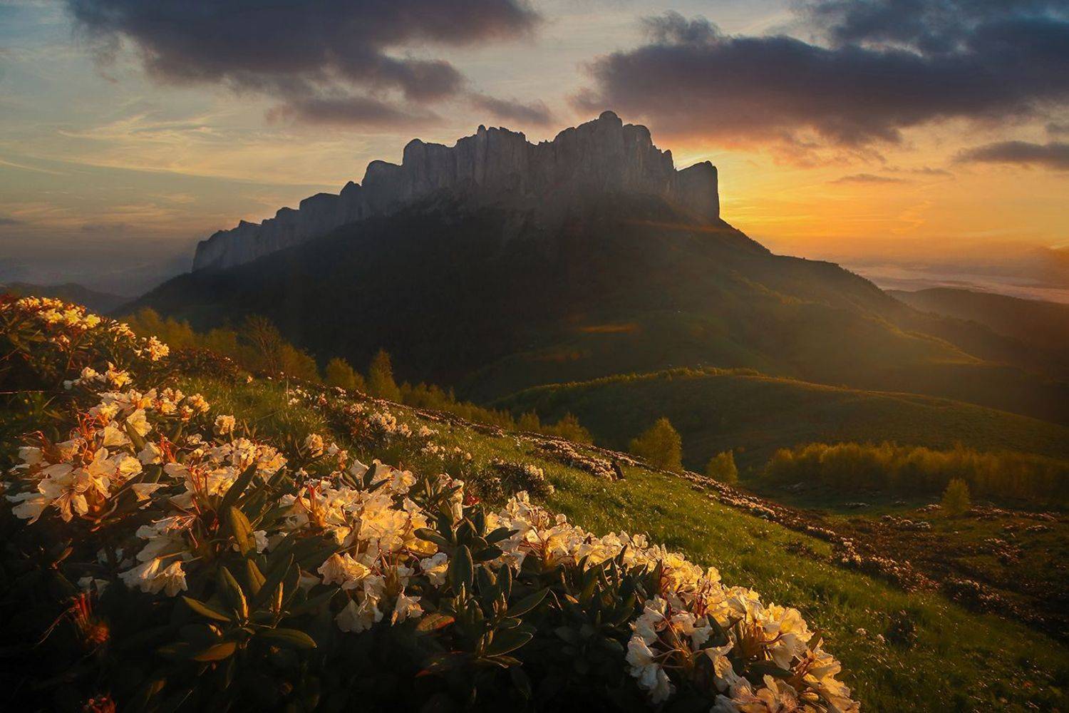 , Андрей Ершов