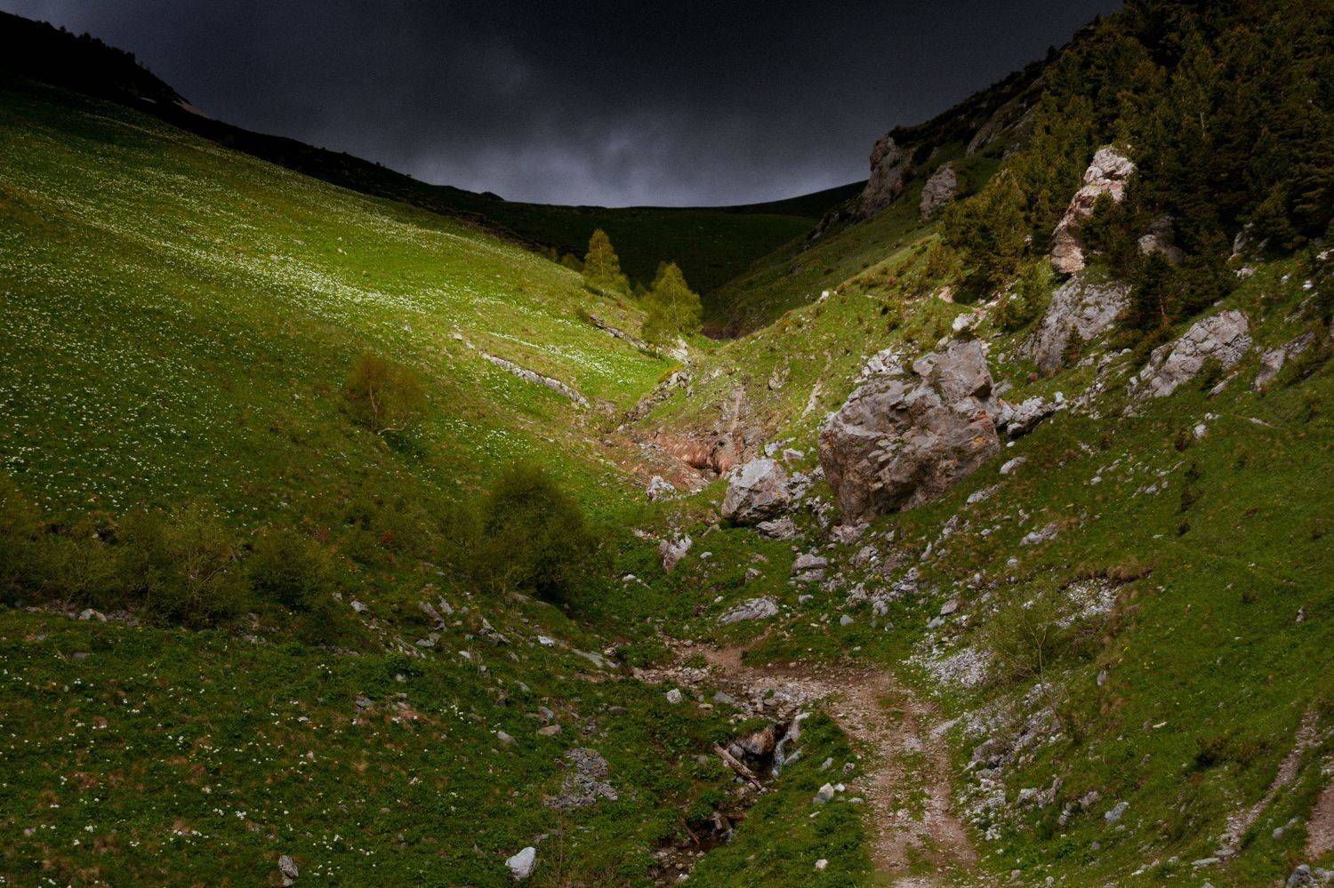 горы, облака, свет, Елена Шевченко