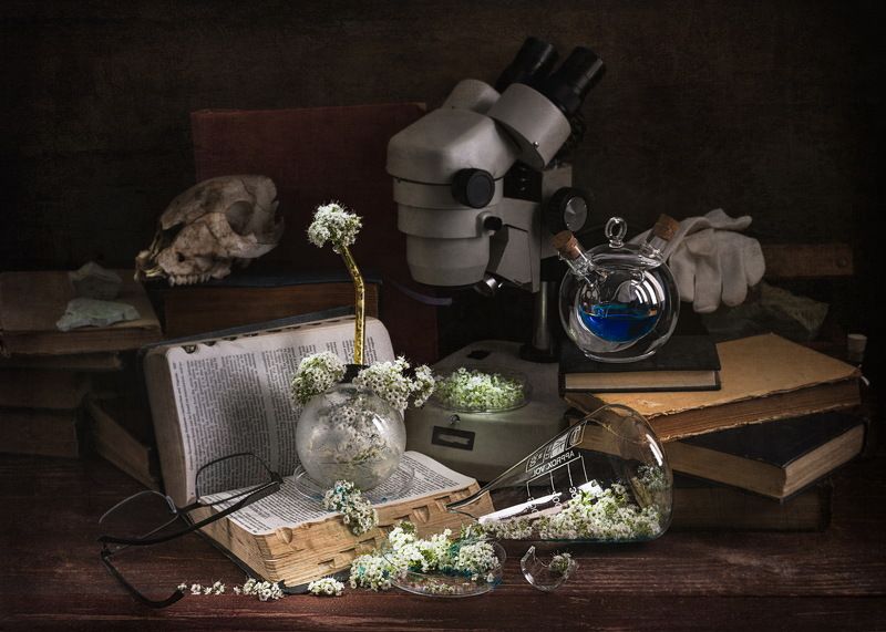 Натюрморт цветы книги алхимия микроскоп череп животного Эликсир жизни. фото превью