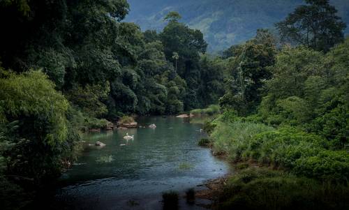 Дождливый день