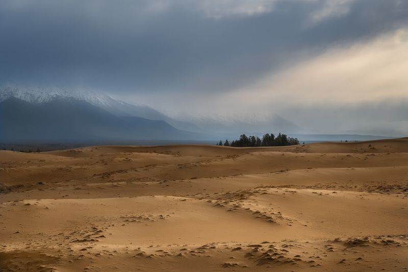 чарские_пески, забайкалье, сибирь, россия, весна, горы, пейзаж, природа, пустыня, песок, дюна, кодар, рассвет Хмурый рассвет фото превью