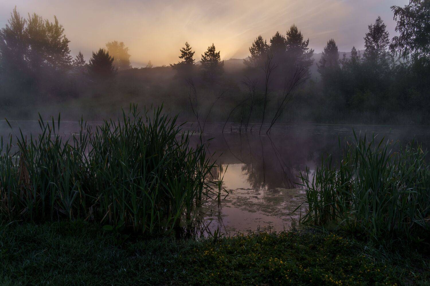 , Семенко Александр