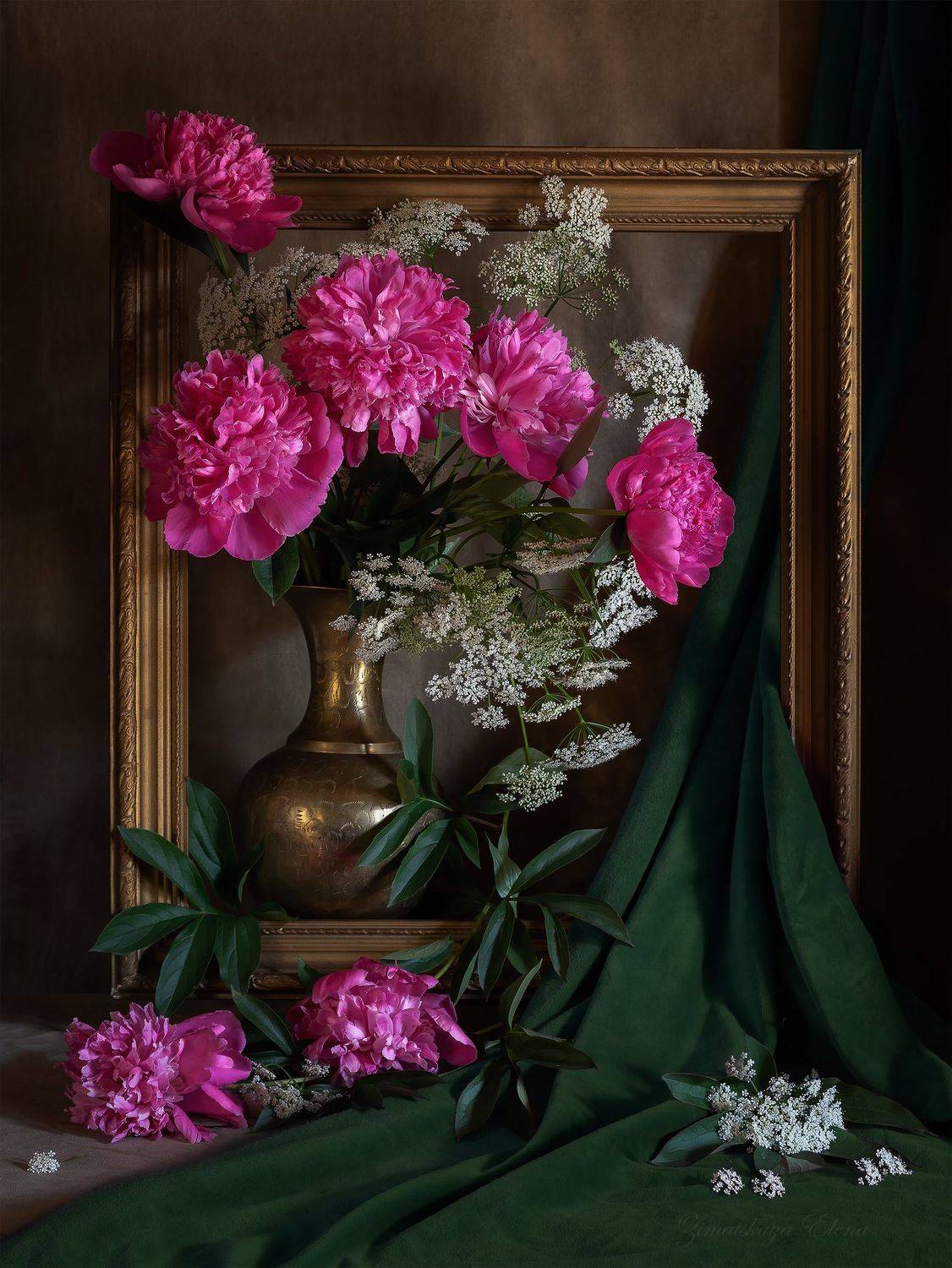 , Елена Зимацкая