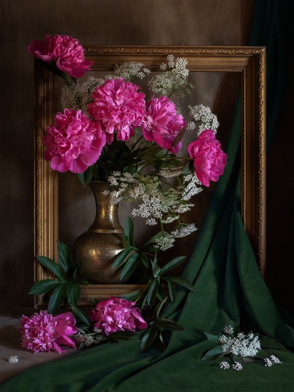 ***пионы фото превью