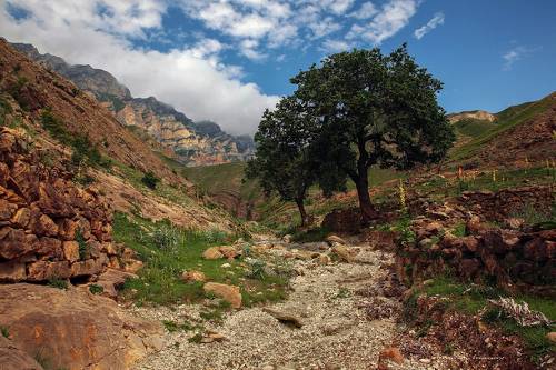 Горный пейзаж..