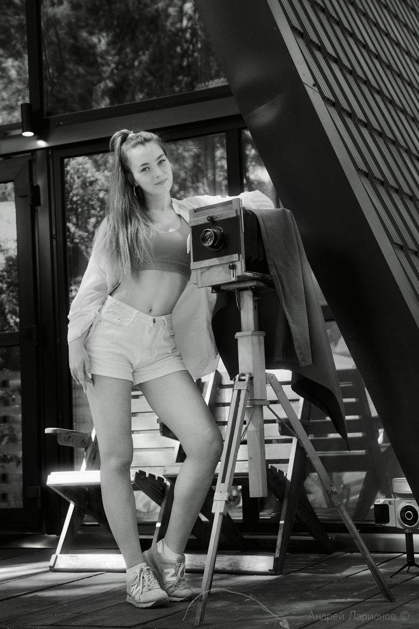 , Андрей Ларионов