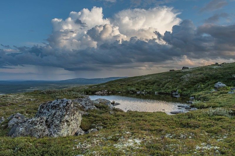 Лето в тундре фото превью