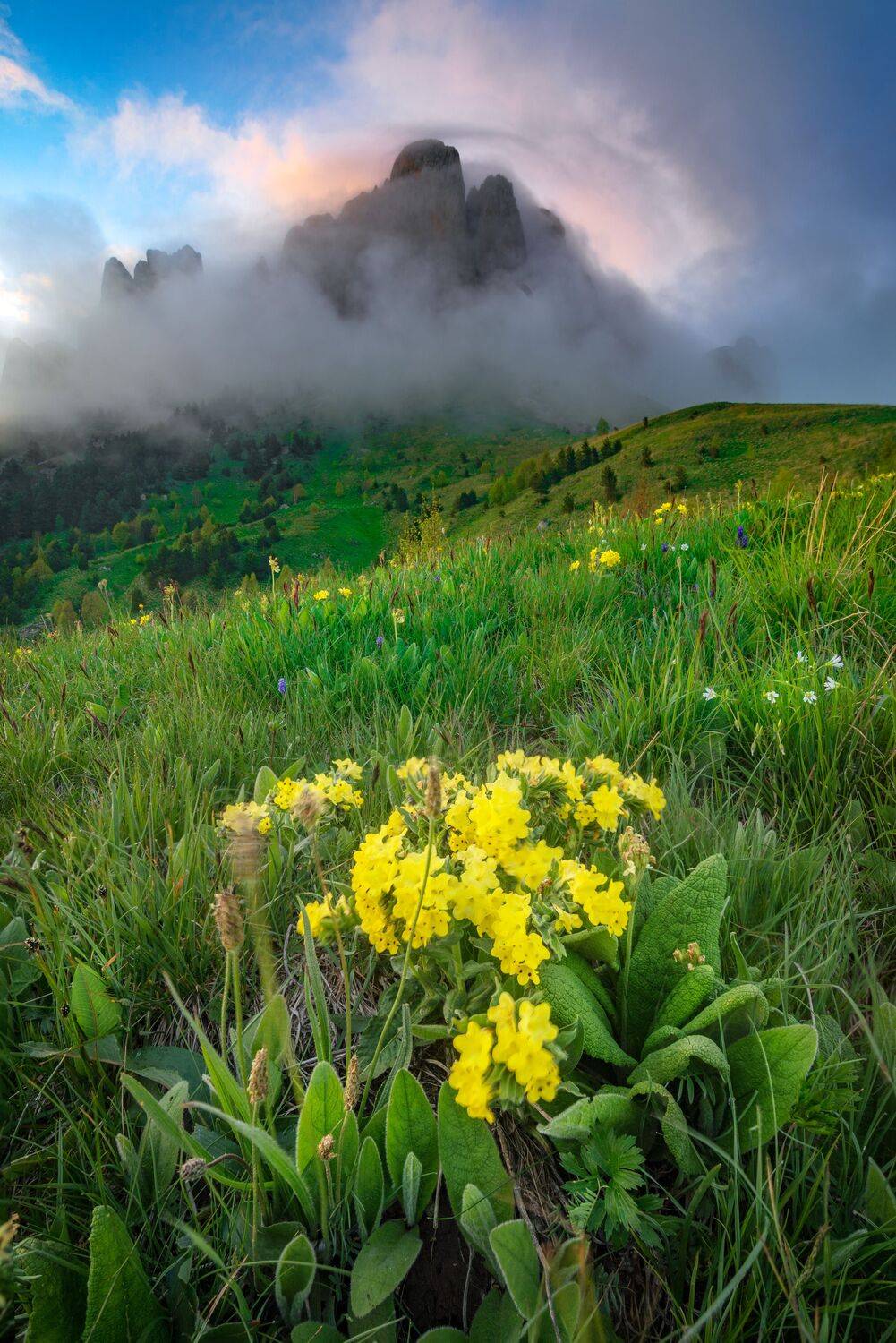 , Перевозчиков Андрей