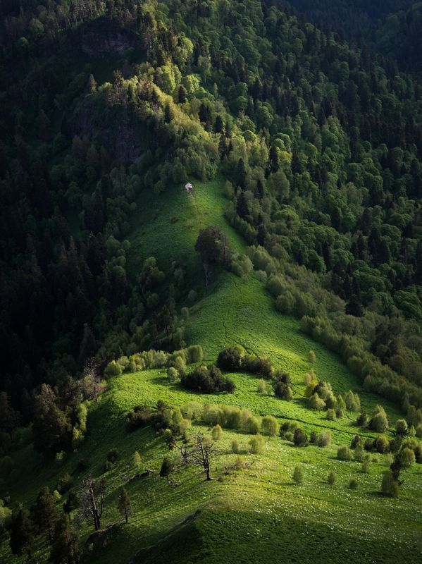 фото превью