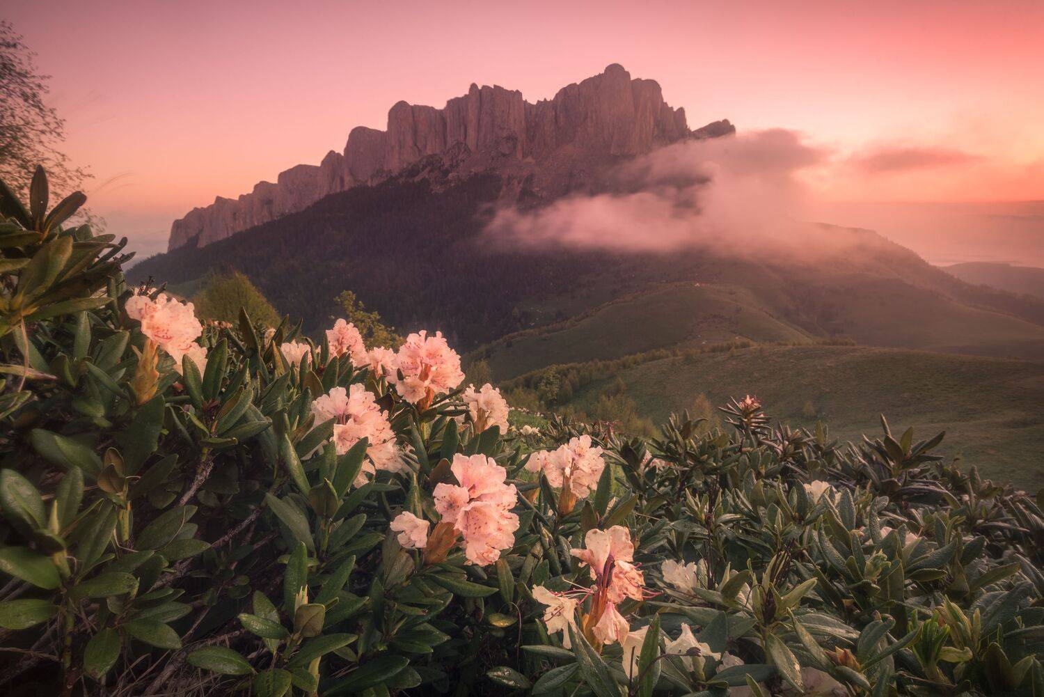 , Перевозчиков Андрей