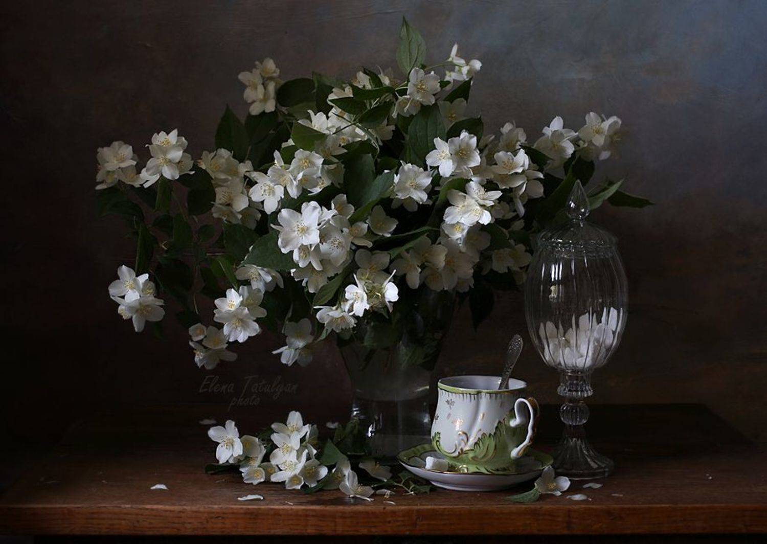 чубушник, жасмин, Елена Татульян