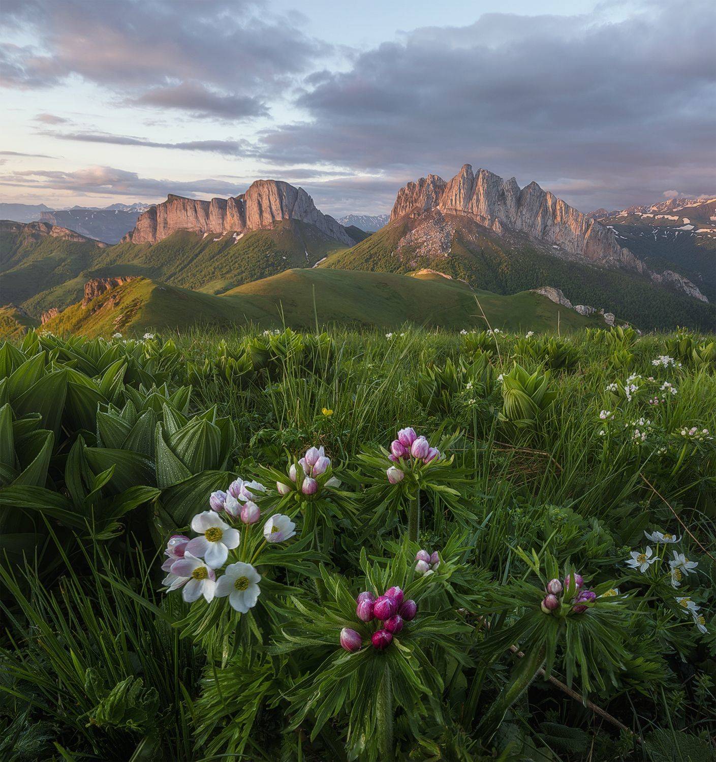 западный кавказ, ачешбок, лето, рассвет, Мысливцев Николай